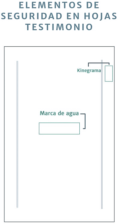 elementos de seguridad en hojas Testimonio
